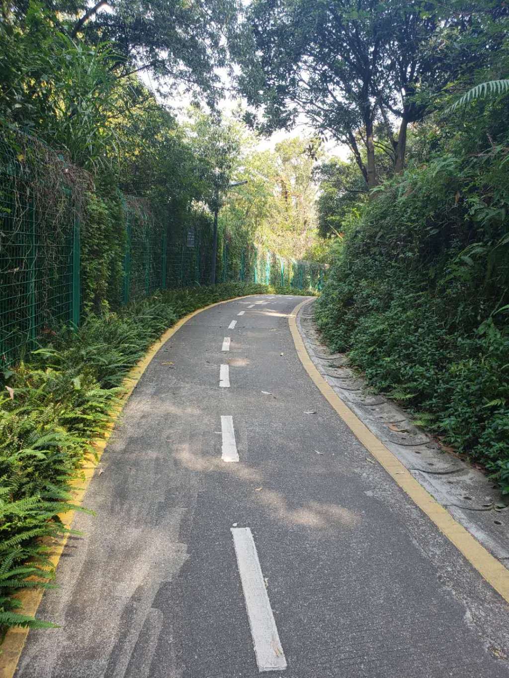 Greenways in Shenzhen