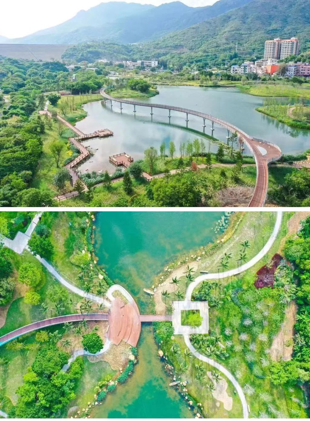 Exploring wetland parks in Shenzhen China